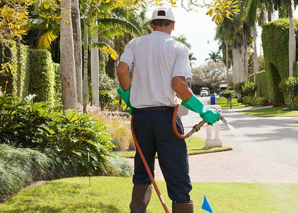 About Roosevelt NJ Pest Control Pros